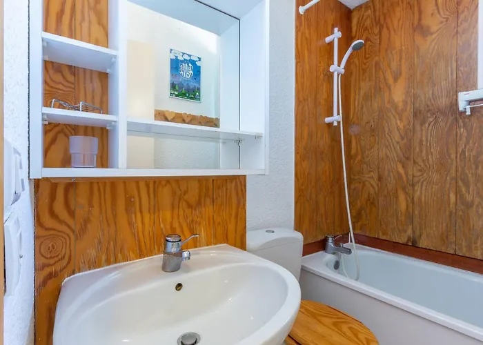 3 Personnes, Cuisine Equipee, Animaux Acceptes, Proche Pistes Et Commerces - Fr-1-353-28 * La Plagne